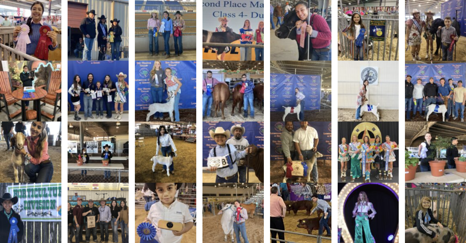 Students represent HCISD at 2022 Rio Grande Valley Livestock Show