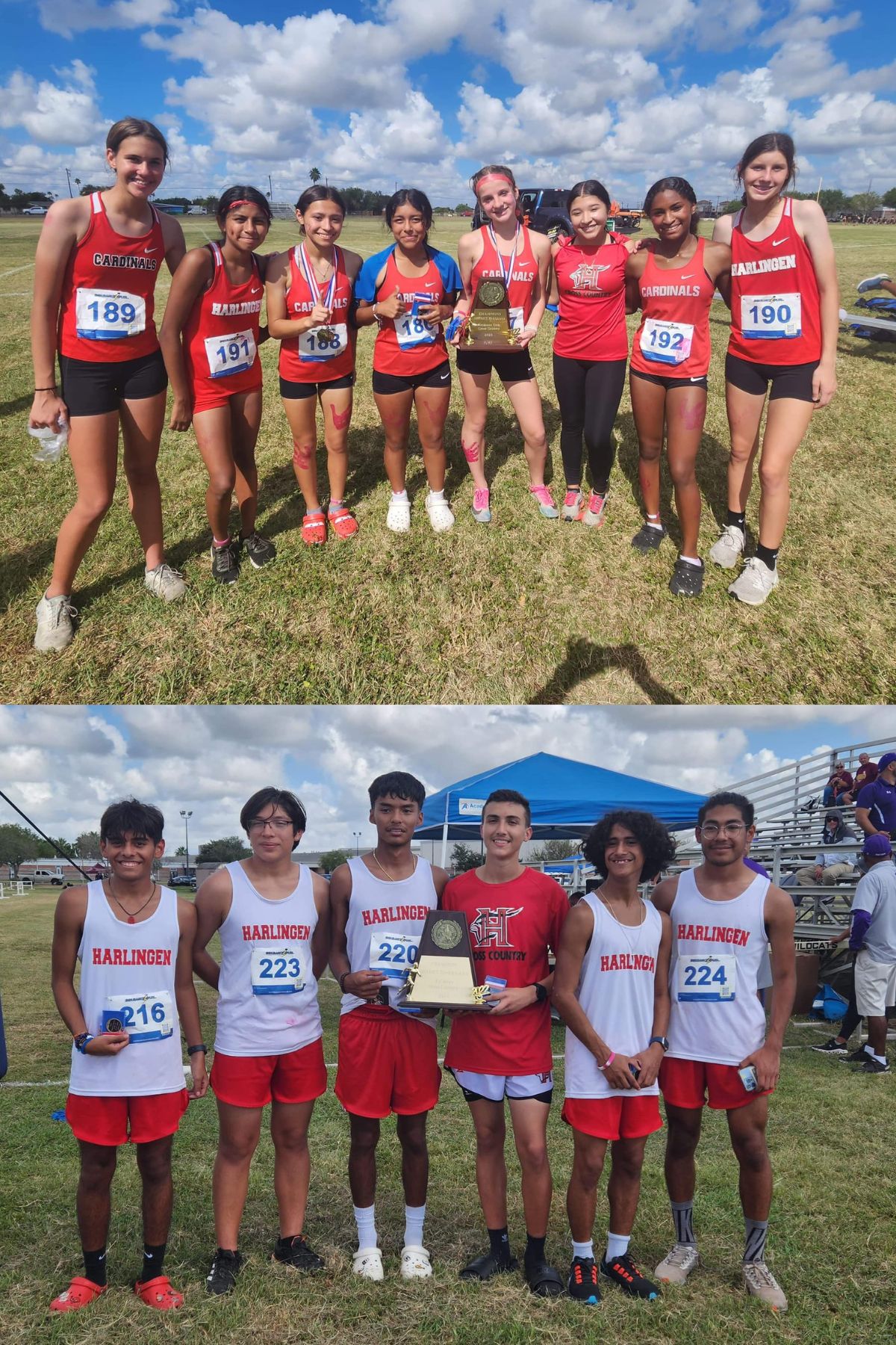 Cardinal Cross Country teams earn District Championships