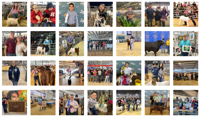 2024 Rio Grande Valley Livestock Show Results