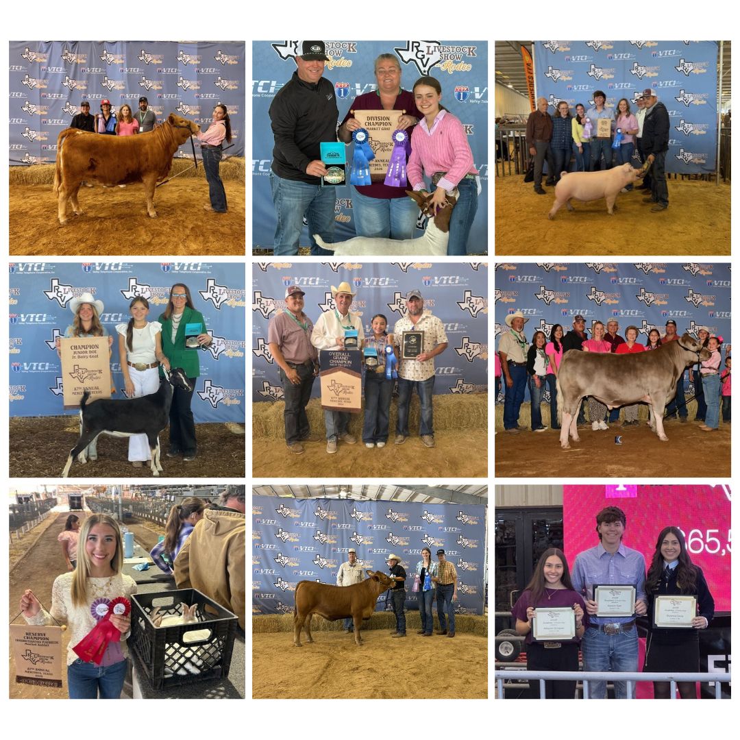 HCISD FFA Members Brought Home Top Honors from RGV Livestock Show